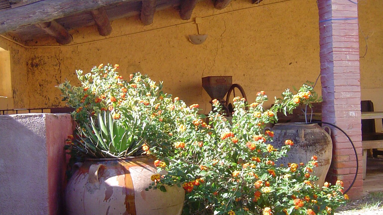 Photo of Outdoor in Banyeres del Penedes