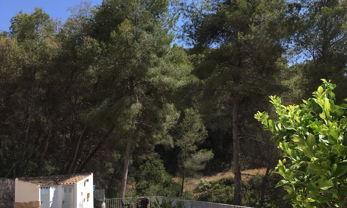 Photo of Outdoor in Moraira