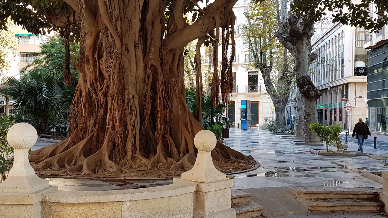 Photo of Outdoor in Moraira
