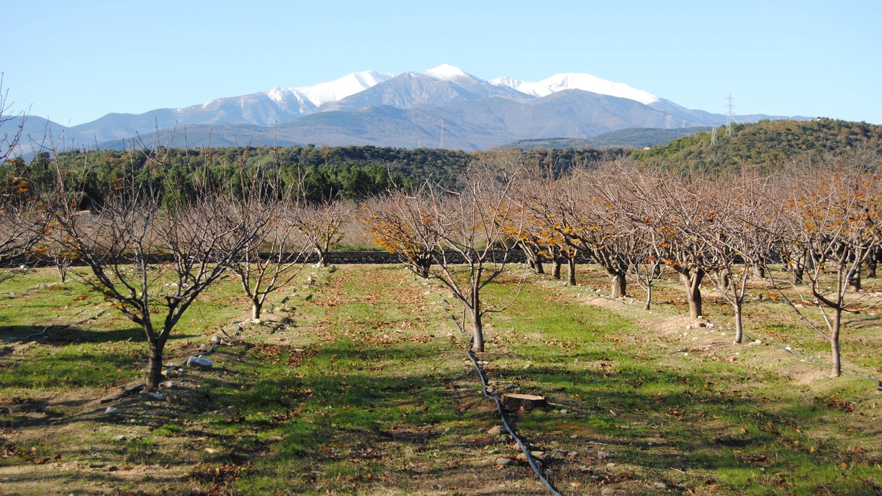 Photo of Outdoor in Maureillas-Las-Illas
