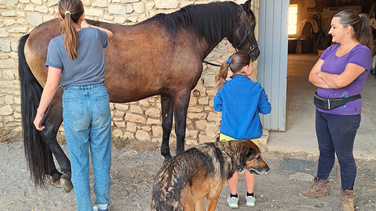 Photo of Others in Orthoux-Serignac-Quilhan