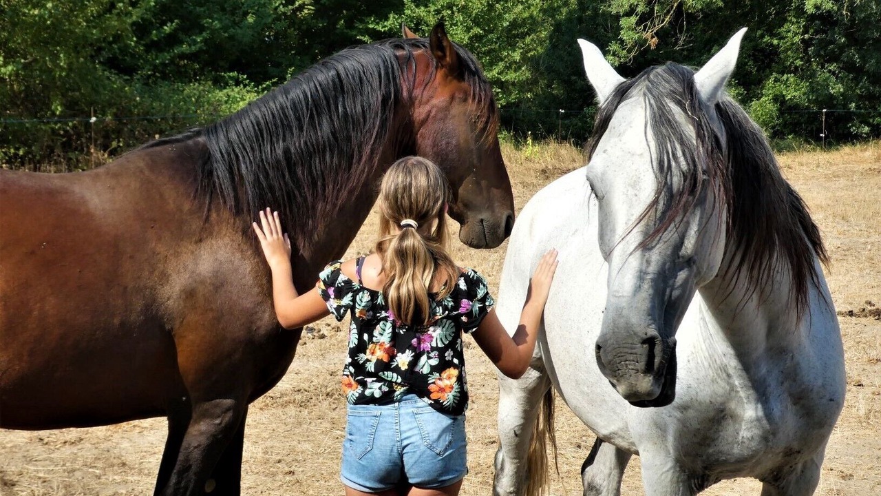 Photo of Others in Orthoux-Serignac-Quilhan