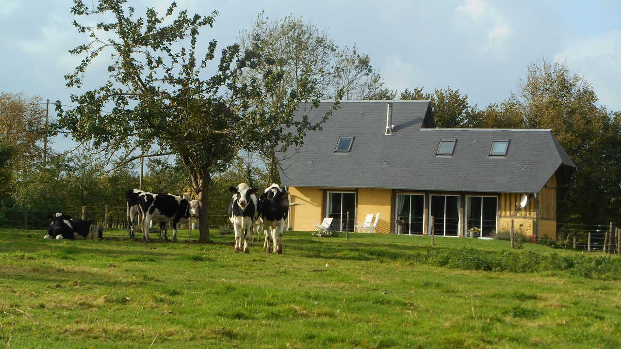 Photo of Outdoor in Saint-Philbert-des-Champs