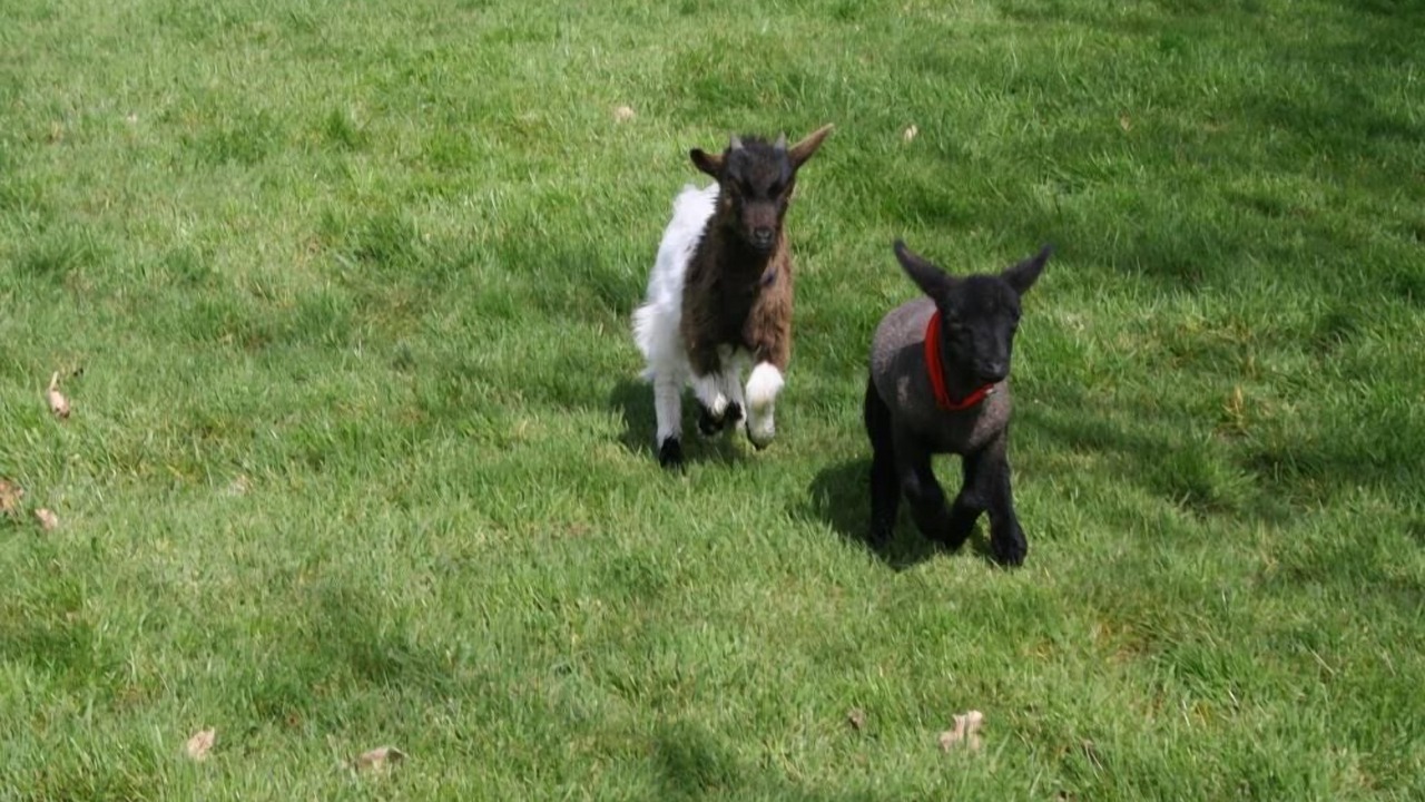 Photo of Outdoor in Saint-Philbert-des-Champs