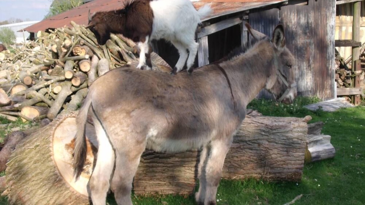 Photo of Outdoor in Saint-Philbert-des-Champs