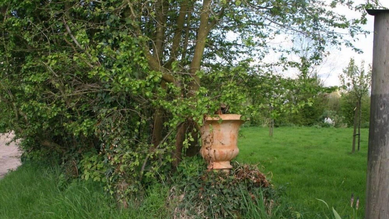 Photo of Outdoor in Saint-Philbert-des-Champs