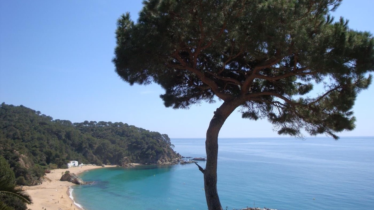 Photo of Others in Lloret de Mar