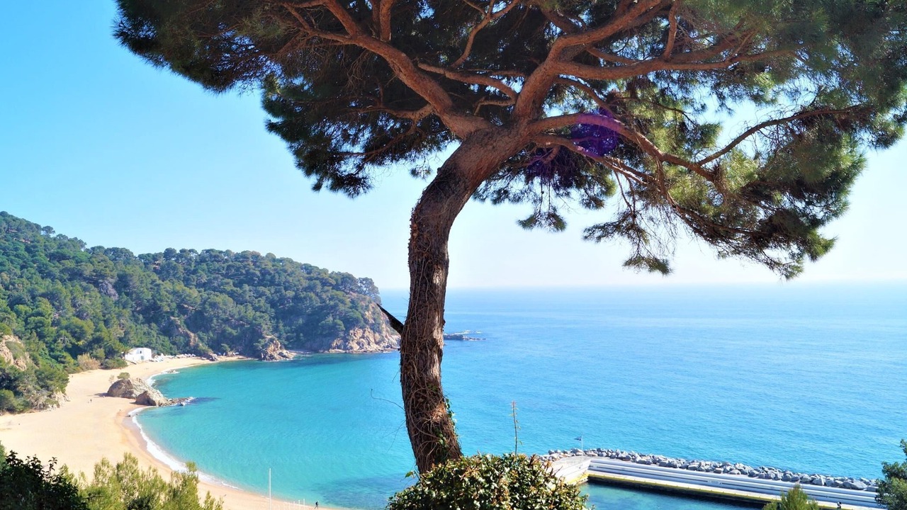 Photo of Others in Lloret de Mar