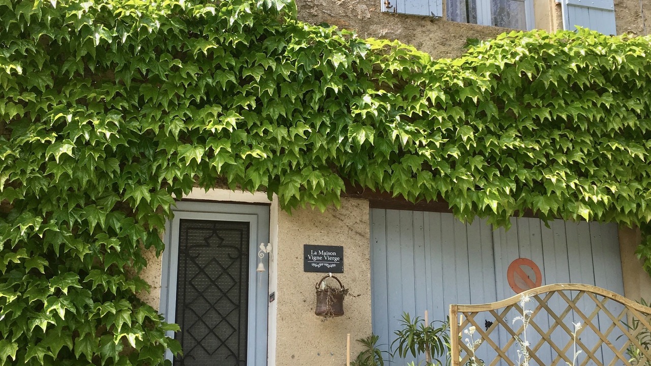 Photo of Outdoor in Lagrasse