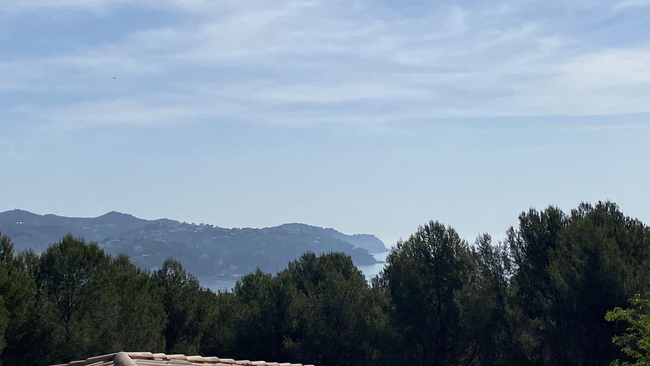 Photo of Others in Lloret de Mar