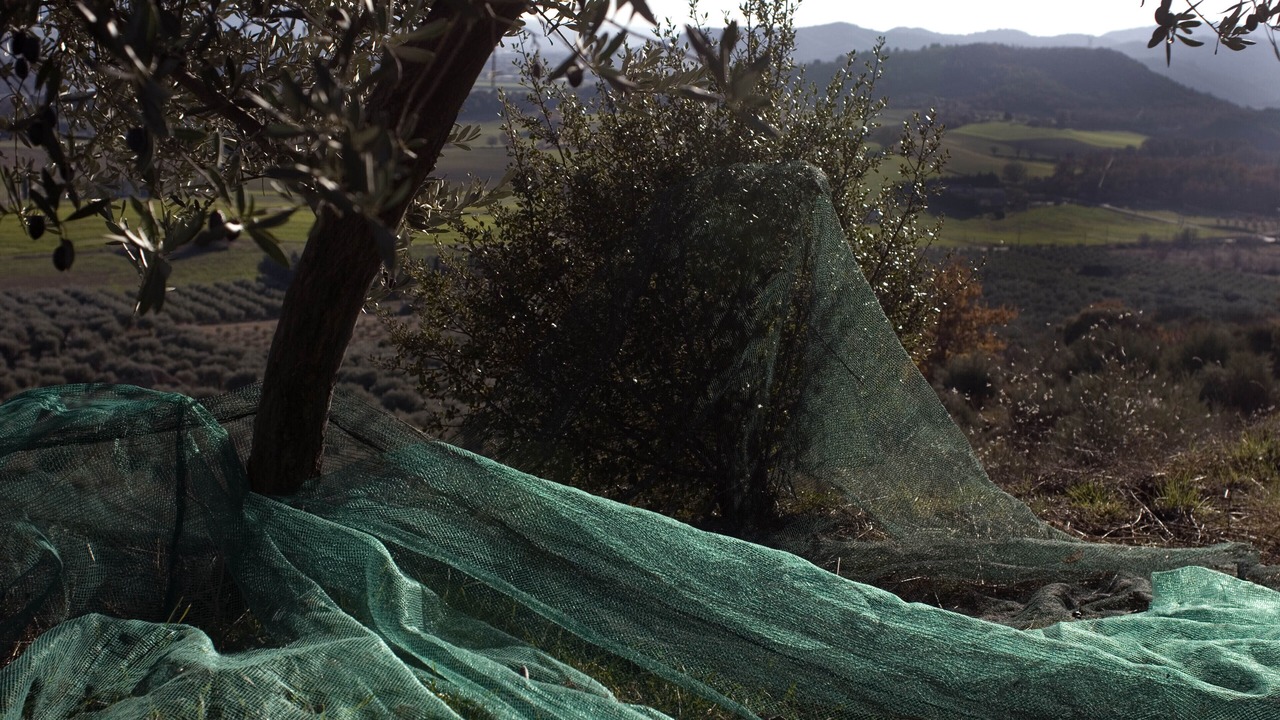 Photo of Outdoor in Lurs