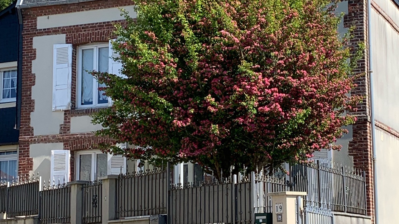 Photo of Outdoor in Villerville