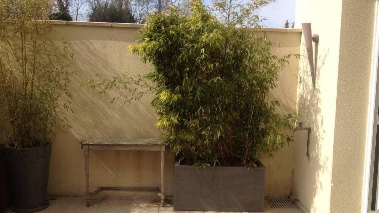 Photo of Patio Balcony in Villerville