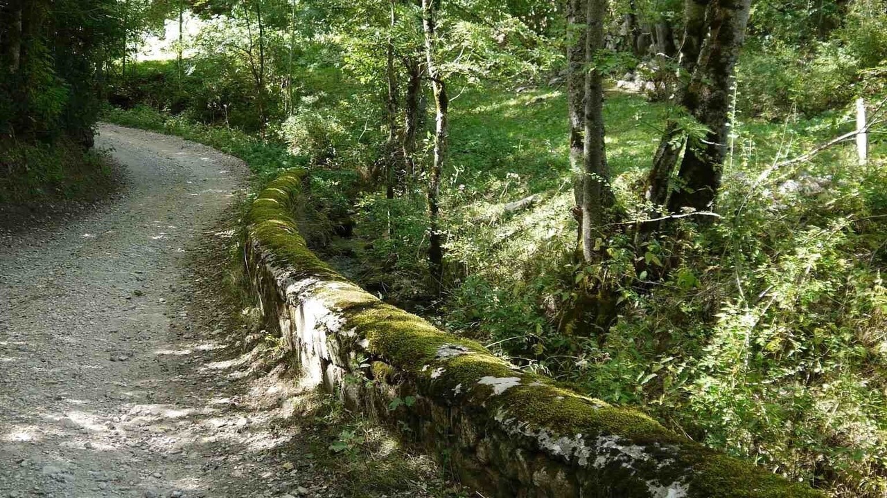 Photo of Outdoor in Lus-la-Croix-Haute