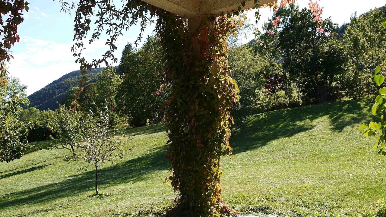 Photo of Outdoor in Lus-la-Croix-Haute
