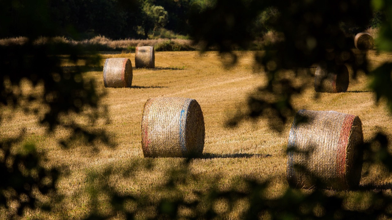 Photo of Outdoor in Lladurs
