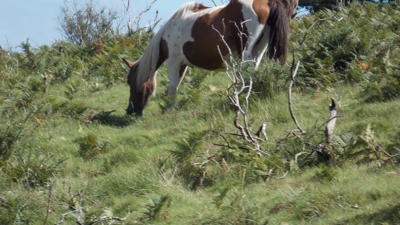 Photo of Outdoor in Auriebat