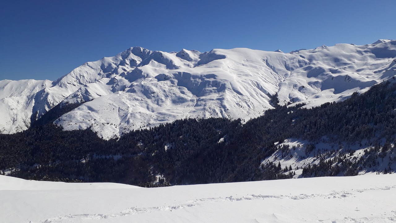 Photo of Others in Auriebat