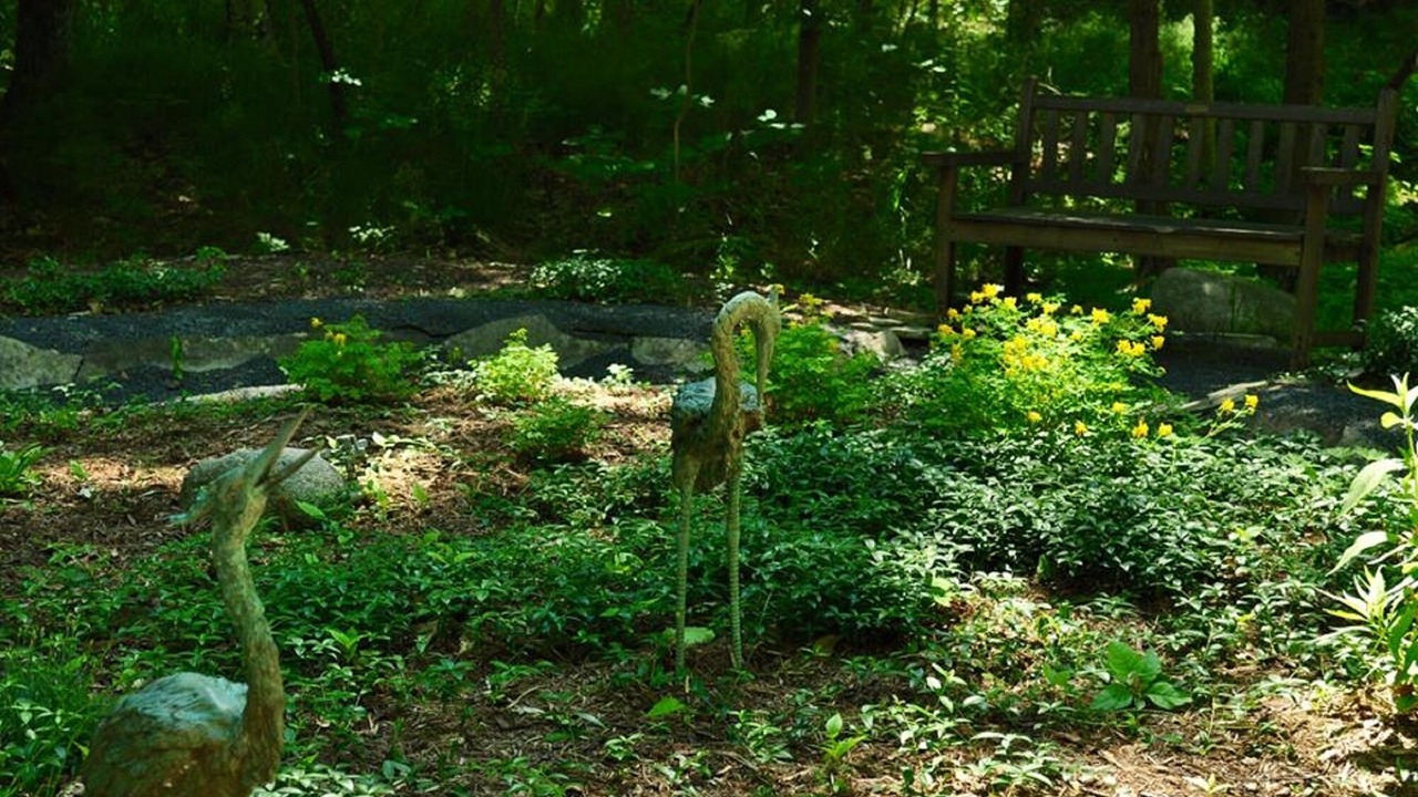 Photo of Outdoor in Traverse City