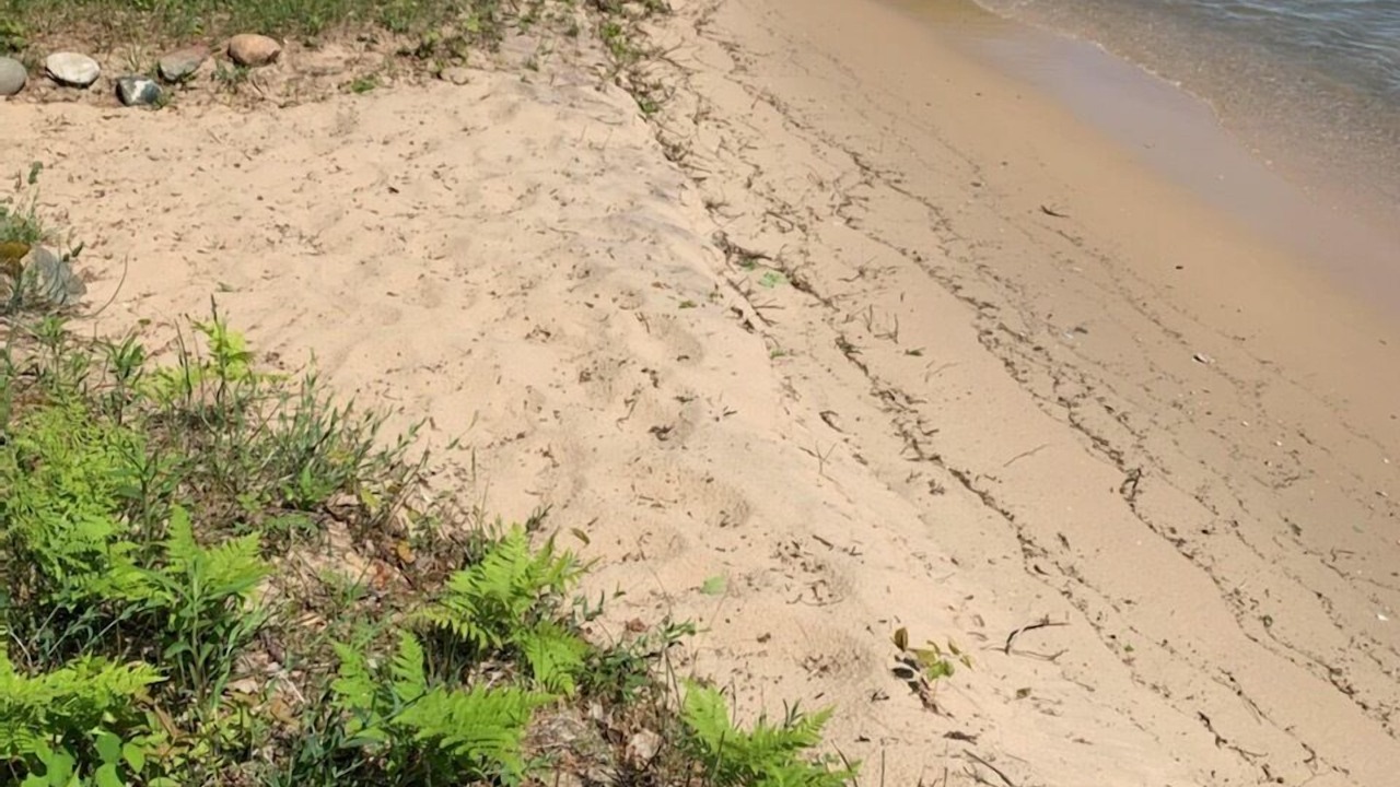 Photo of Others in Traverse City
