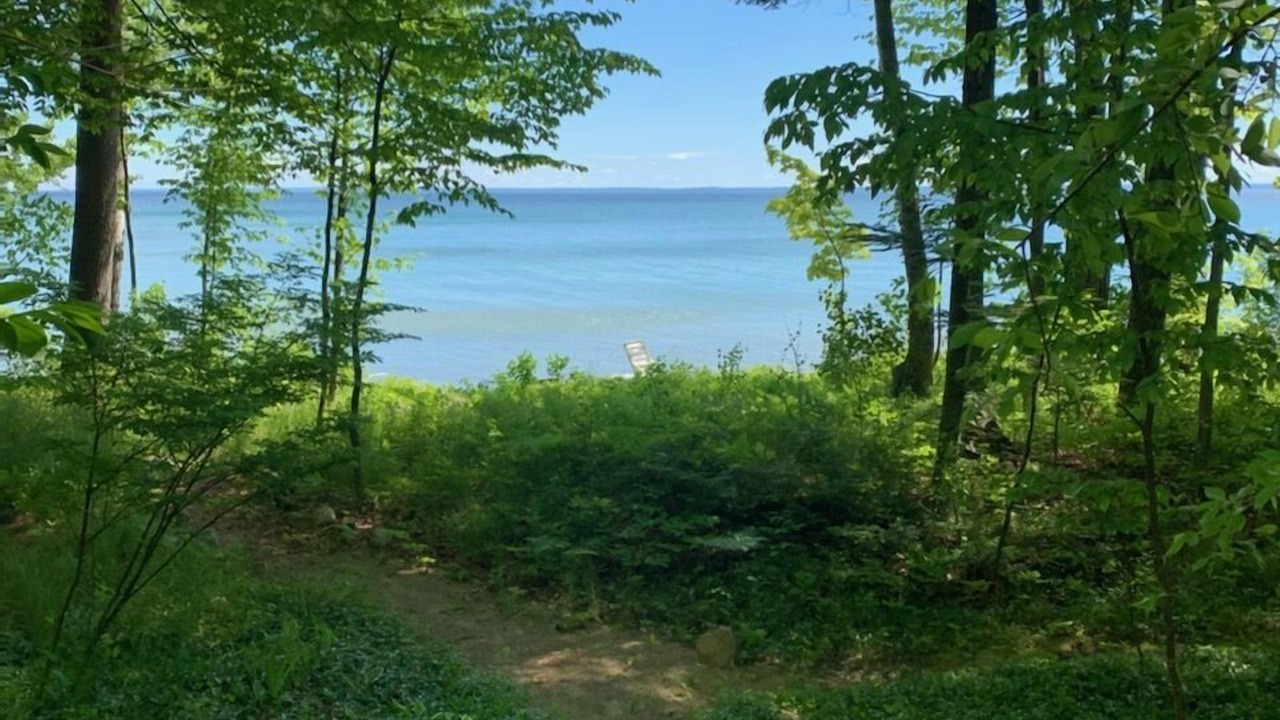 Photo of Outdoor in Traverse City