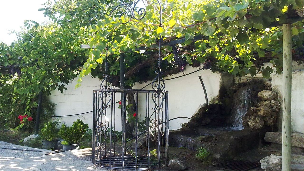 Photo of Outdoor in La Alqueria
