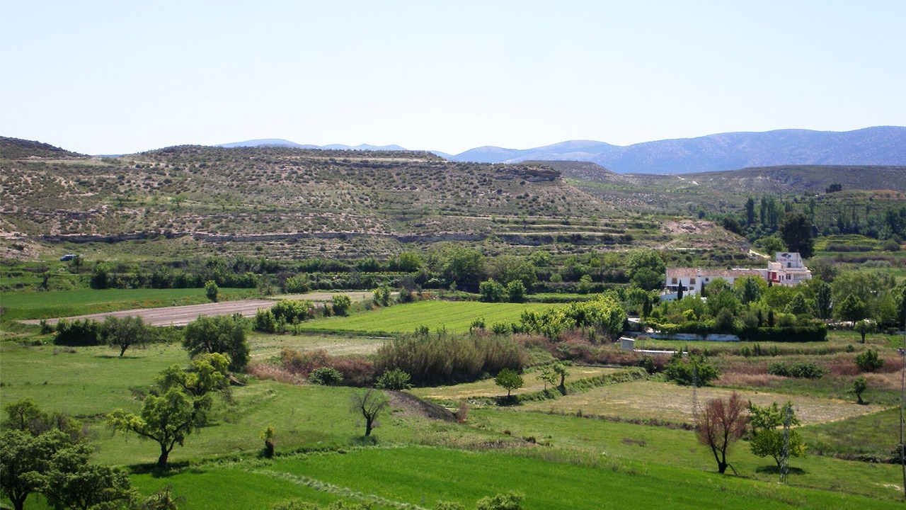 Photo of Outdoor in La Alqueria