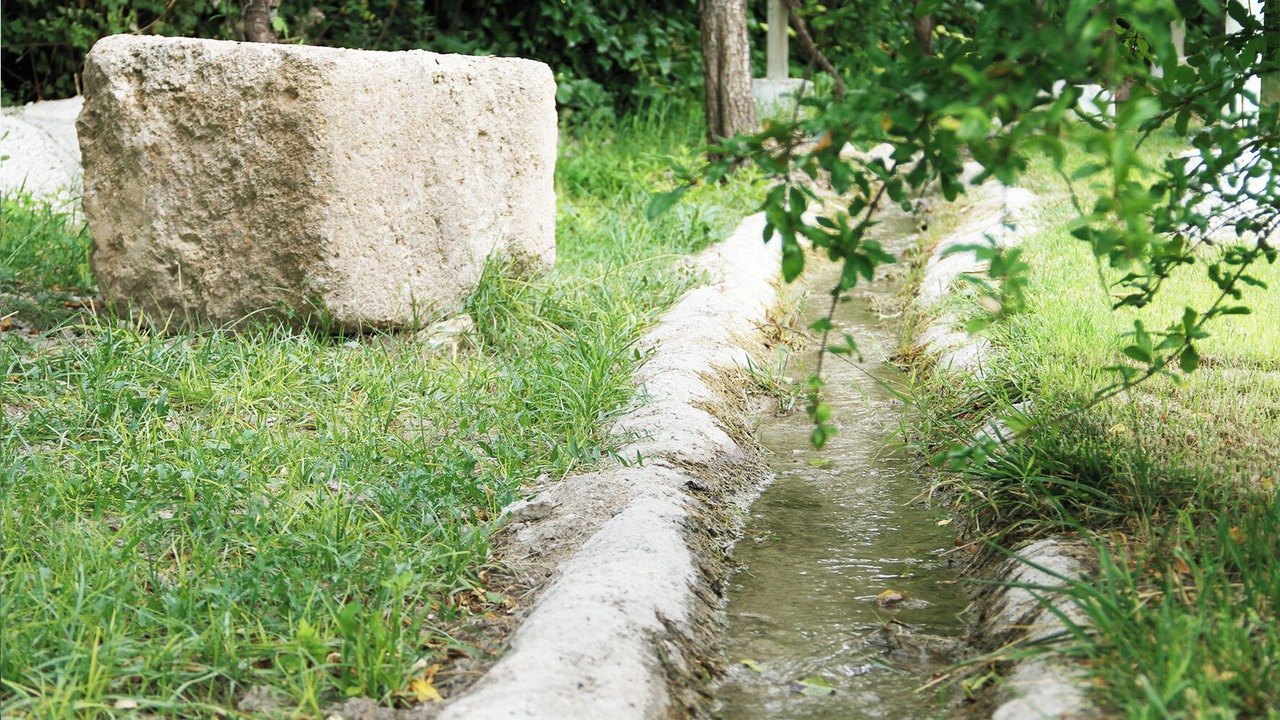 Photo of Outdoor in La Alqueria