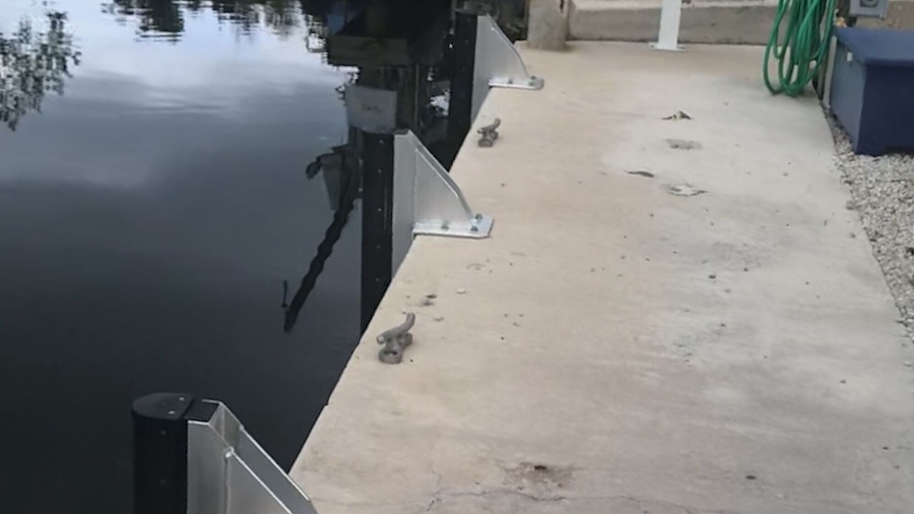 Photo of Outdoor in White Marlin Beach