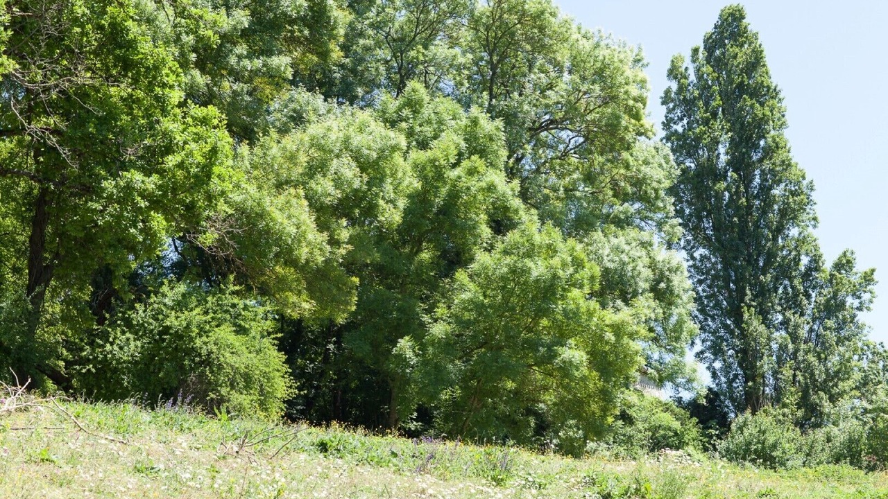 Photo of Outdoor in Pons