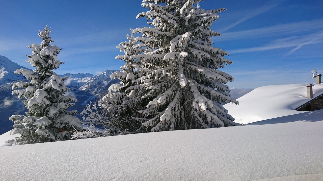 Photo of Others in La Rosiere