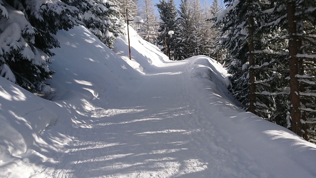 Photo of Others in La Rosiere