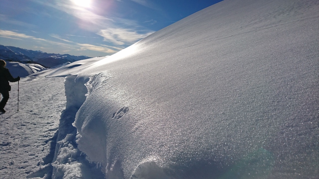 Photo of Others in La Rosiere