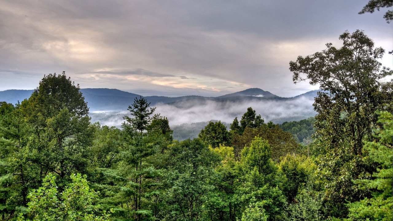Photo of Others in Mineral Bluff