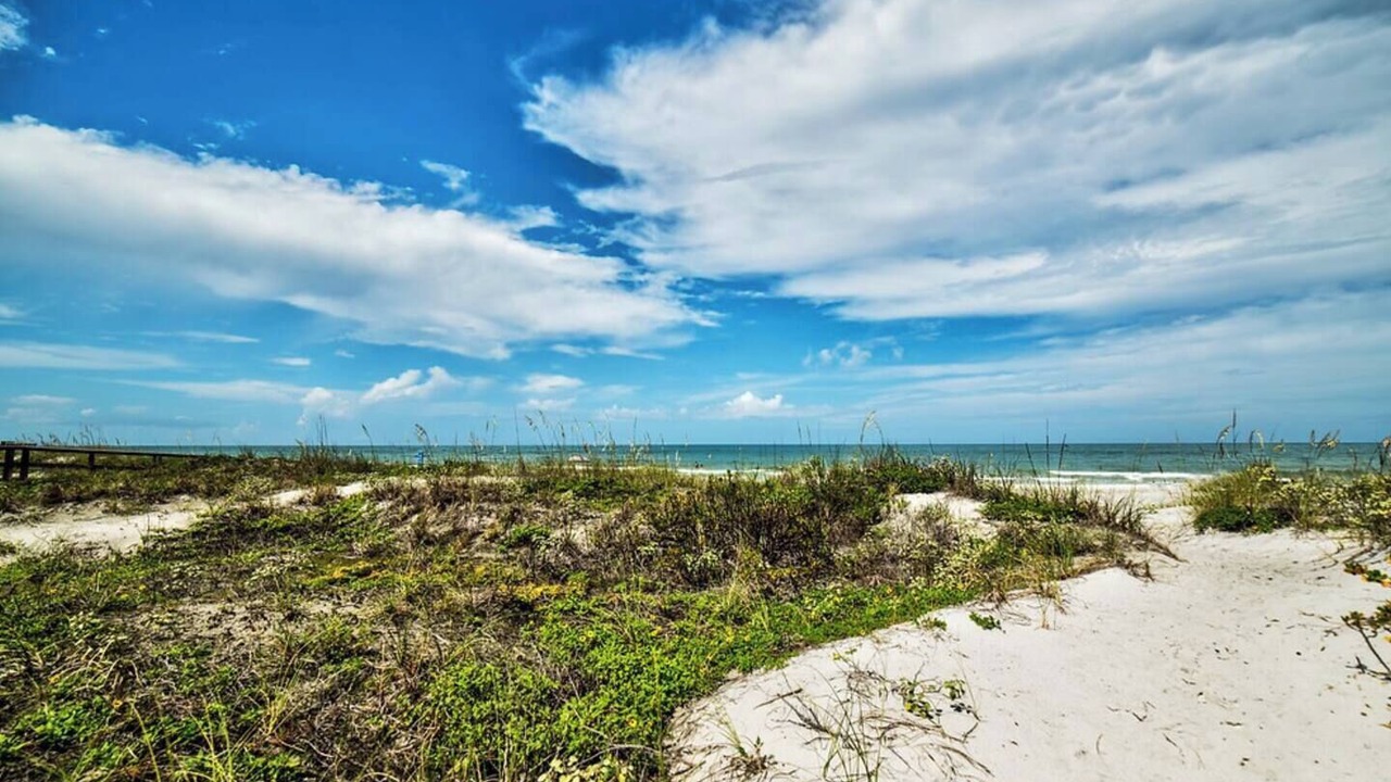 Photo of Others in Redington Shores