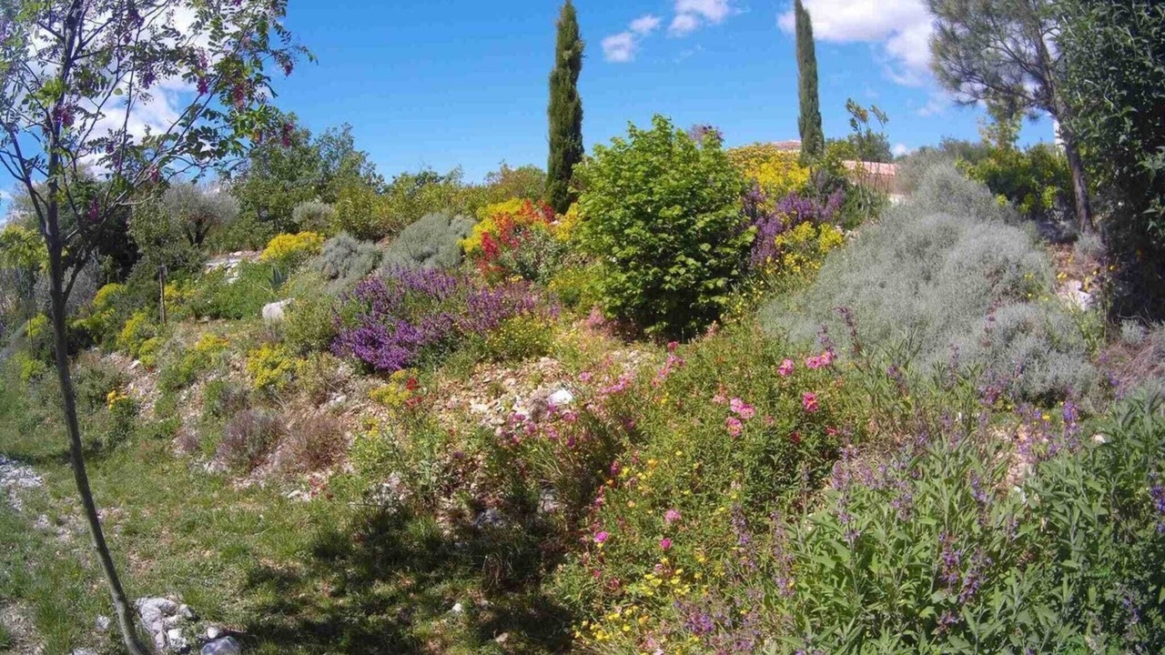 Photo of Others in Vogue