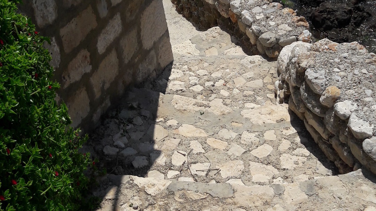 Photo of Others in Komiza