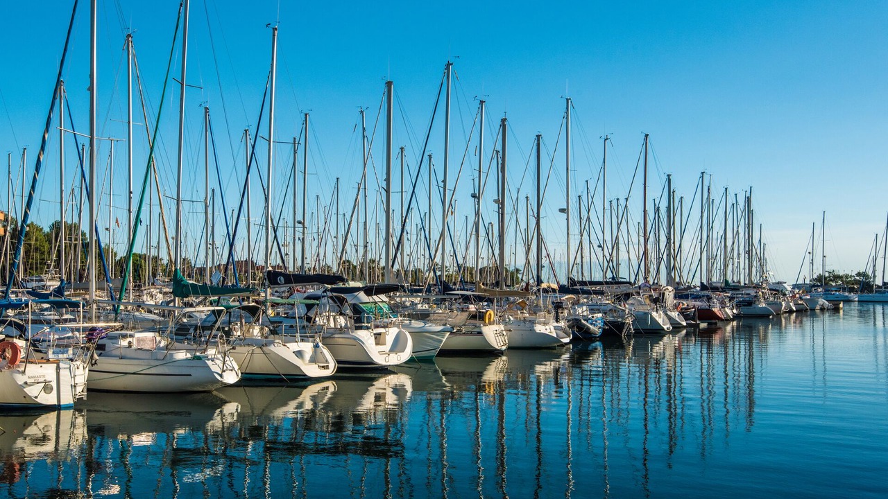 Photo of Others in Saint-Cyprien