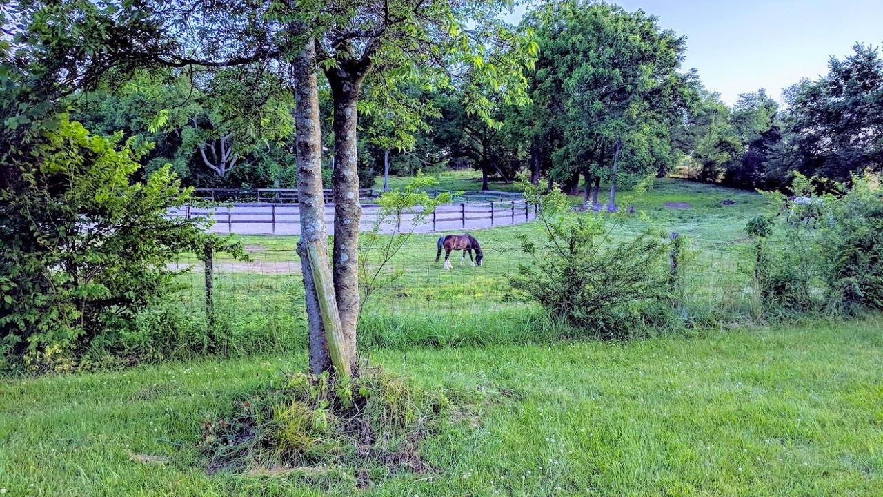 Photo of Outdoor in Franklin