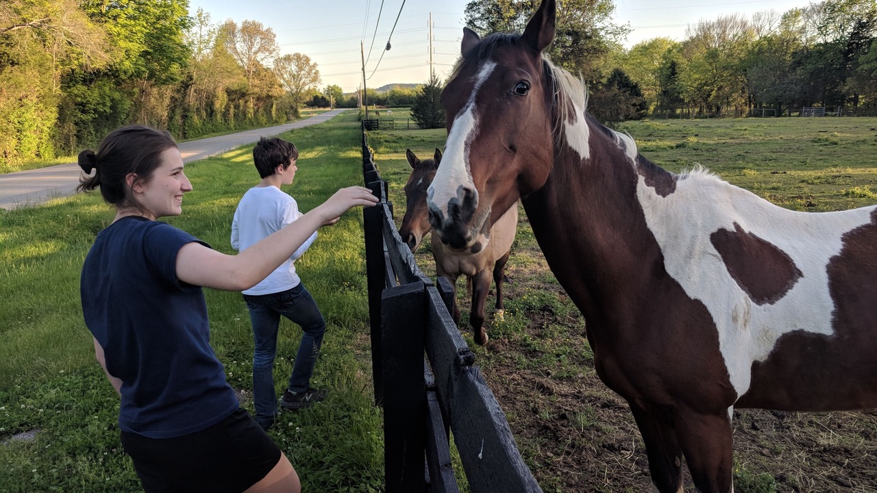 Photo of Others in Franklin