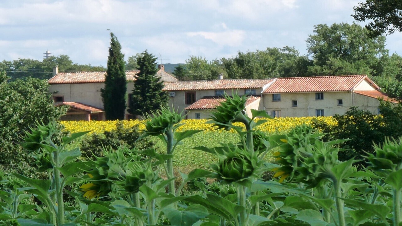 Photo of Others in Labastide-d'Anjou