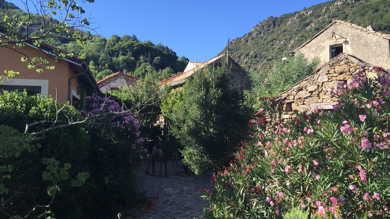 Photo of Outdoor in Saint-Vincent-d'Olargues