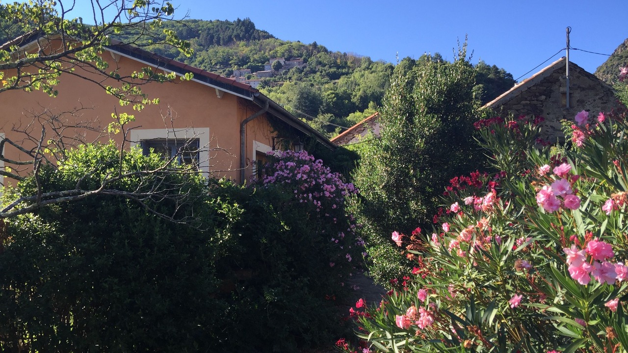 Photo of Outdoor in Saint-Vincent-d'Olargues