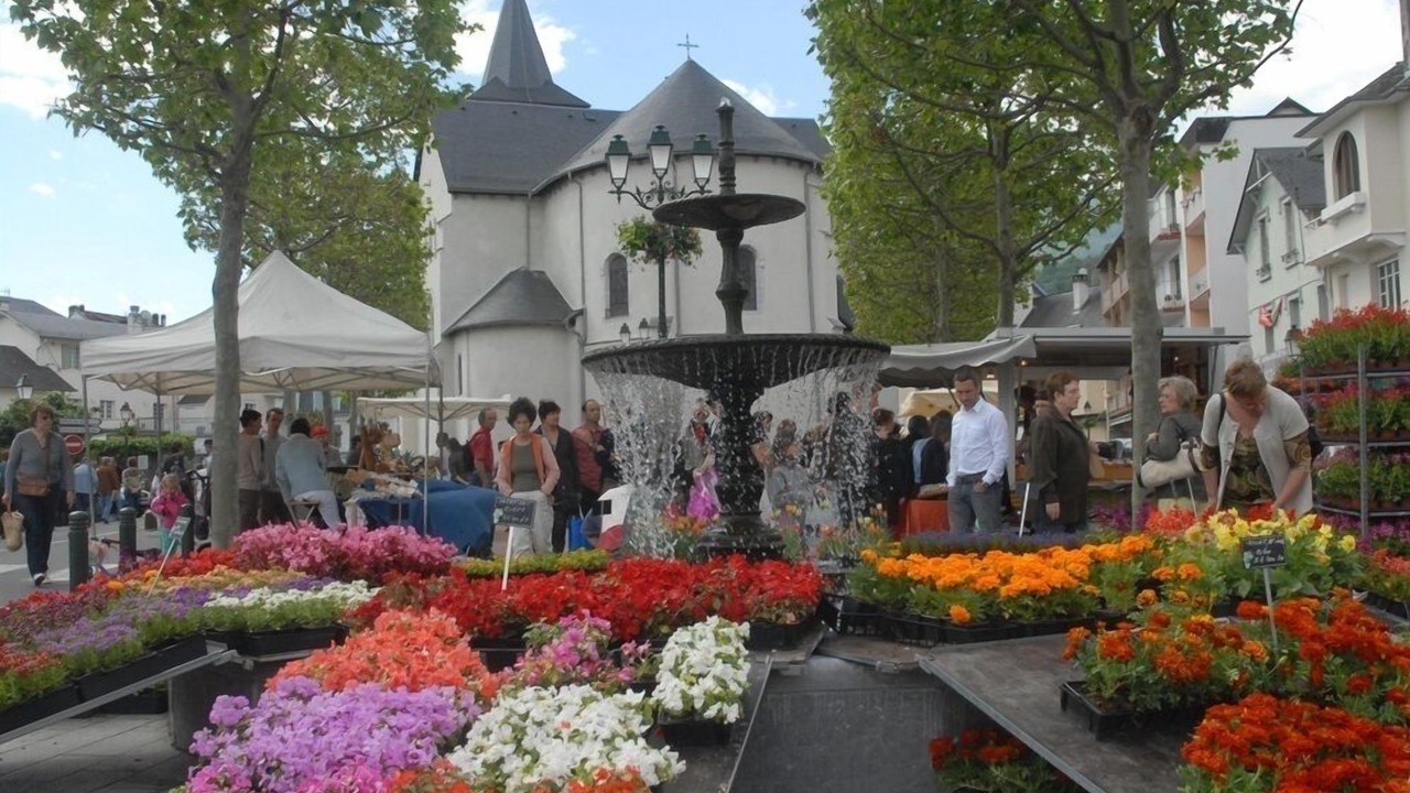 Photo of Others in Argeles Gazost
