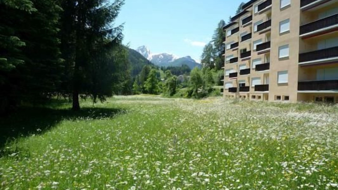 Photo of Others in Engadin Scoul
