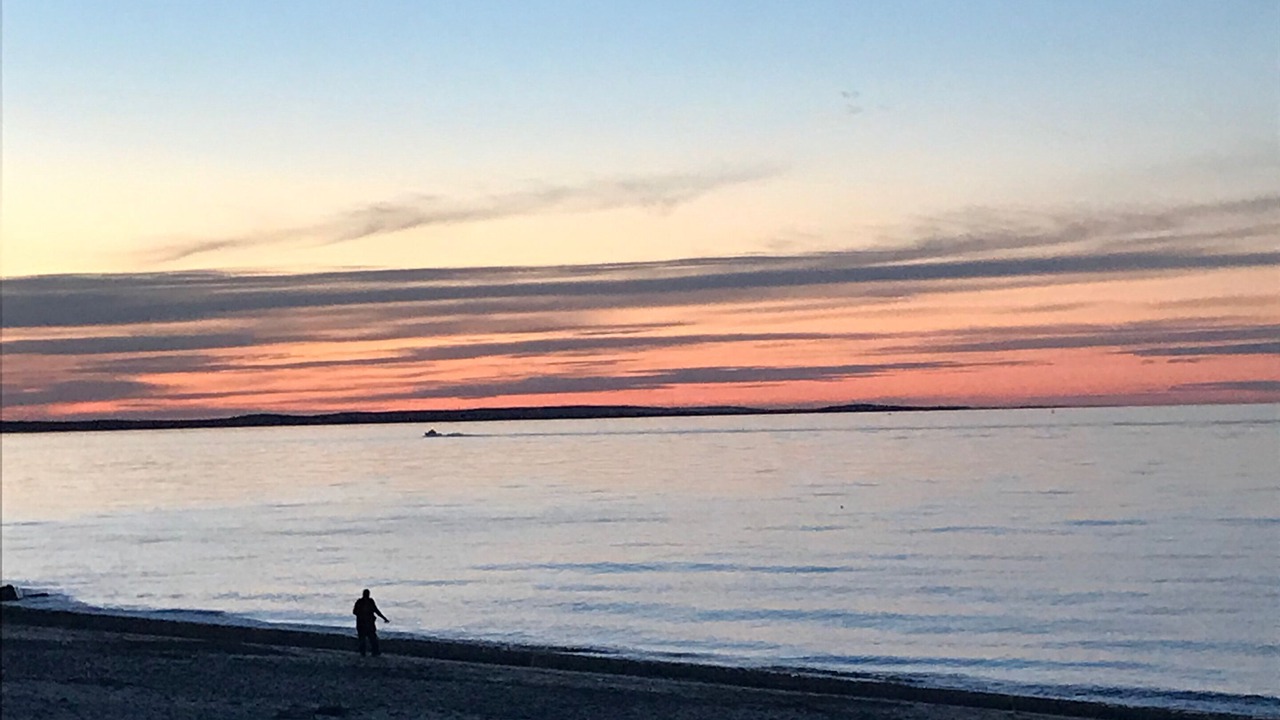 Photo of Others in East Sandwich