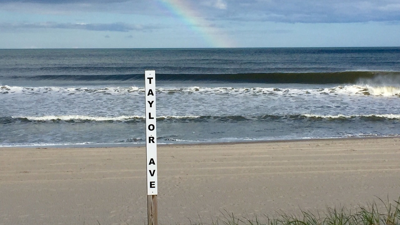 Photo of Others in Beach Haven