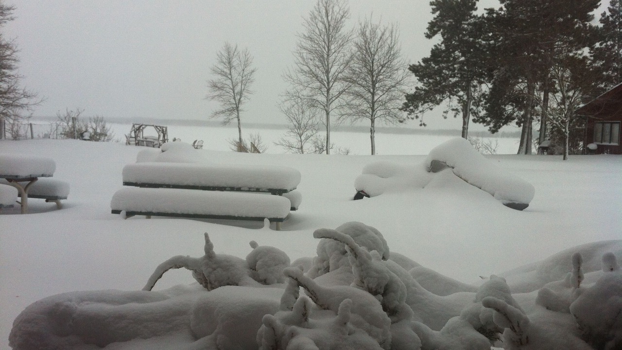 Photo of Others in Pine River