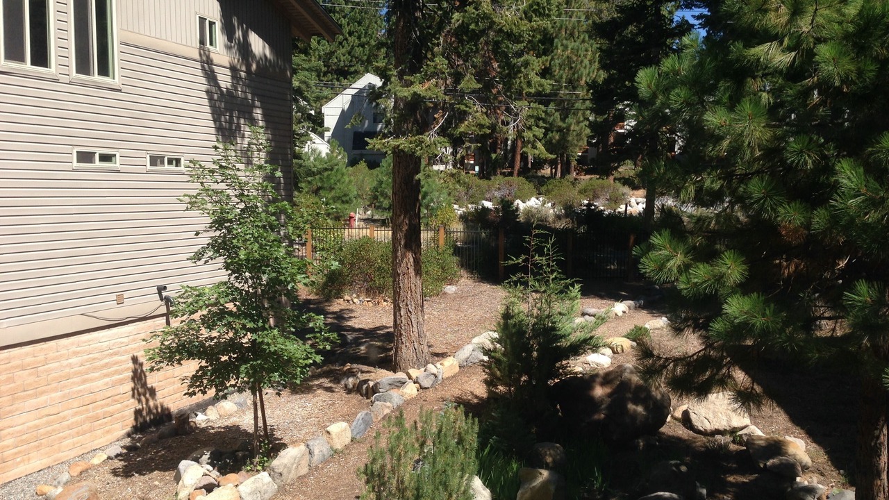 Photo of Others in Incline Village