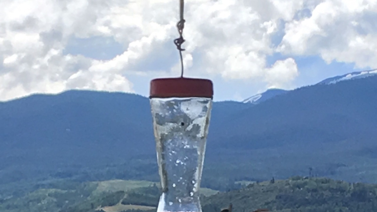 Photo of Outdoor in Dillon